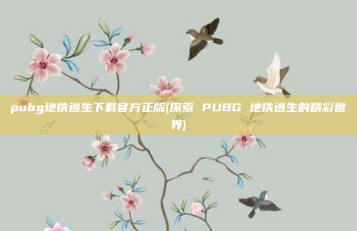 pubg地铁逃生下载官方正版(探索 PUBG 地铁逃生的精彩世界)